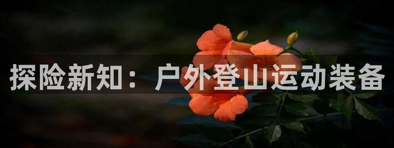 zoty中欧体育官方正版app官方:探险新知:户外登山运动装