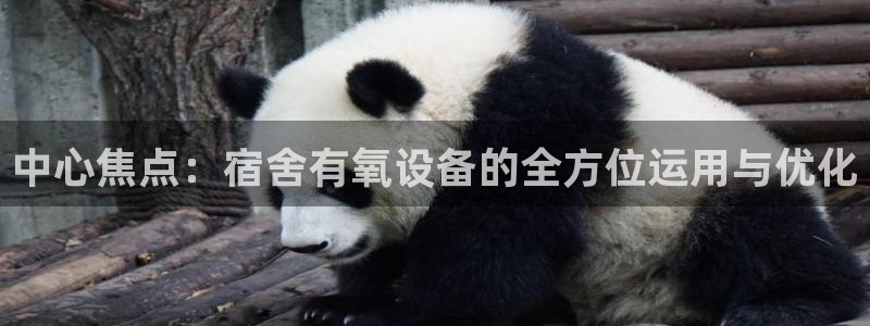 海南zoty中欧体育官网下载:中心焦点:宿舍有氧设备的全方位