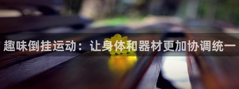 zoty中欧体育官网下载开户:趣味倒挂运动:让身体和器材更加